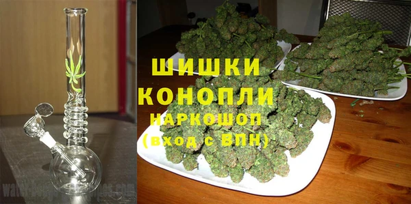 spice Алзамай