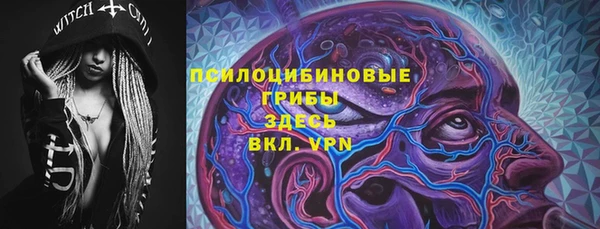 эйфоретик Алексин